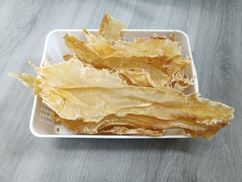 20頭鱈魚花膠