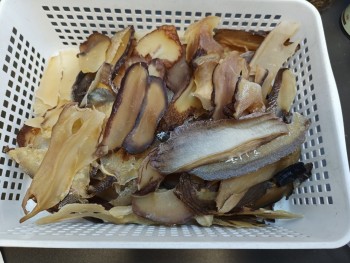 S螺片