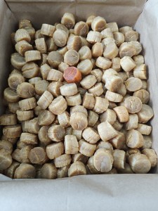 圖片 1