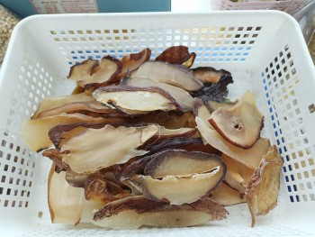 L螺片