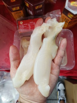 自用190頭花膠筒